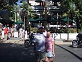 Key West Races (6).JPG